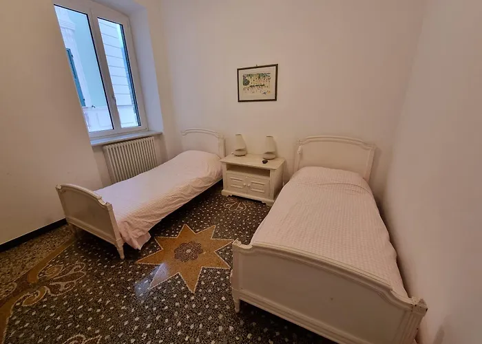 Premium * Камольи